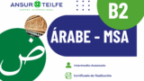Curso árabe B2