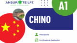 Curso chino A1