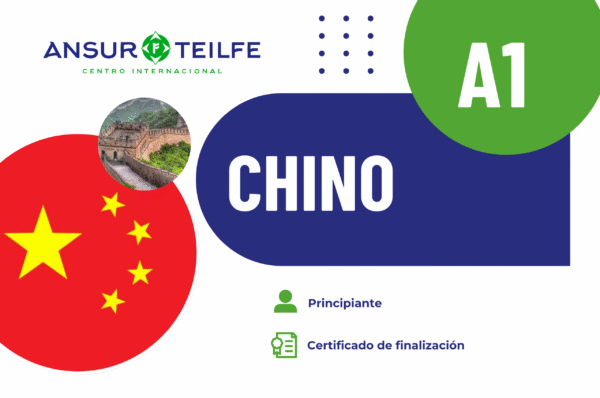 Curso chino A1