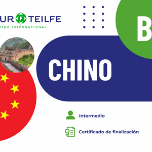 Curso chino B1