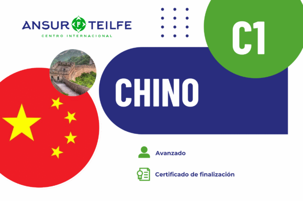 Curso chino C1